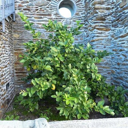 Agriturismo Il Colle Bellagio Exterior foto