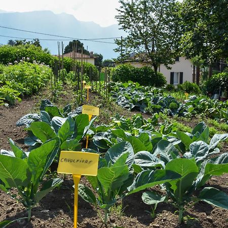 Agriturismo Il Colle Bellagio Exterior foto