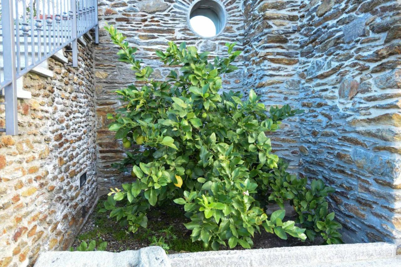 Agriturismo Il Colle Bellagio Exterior foto