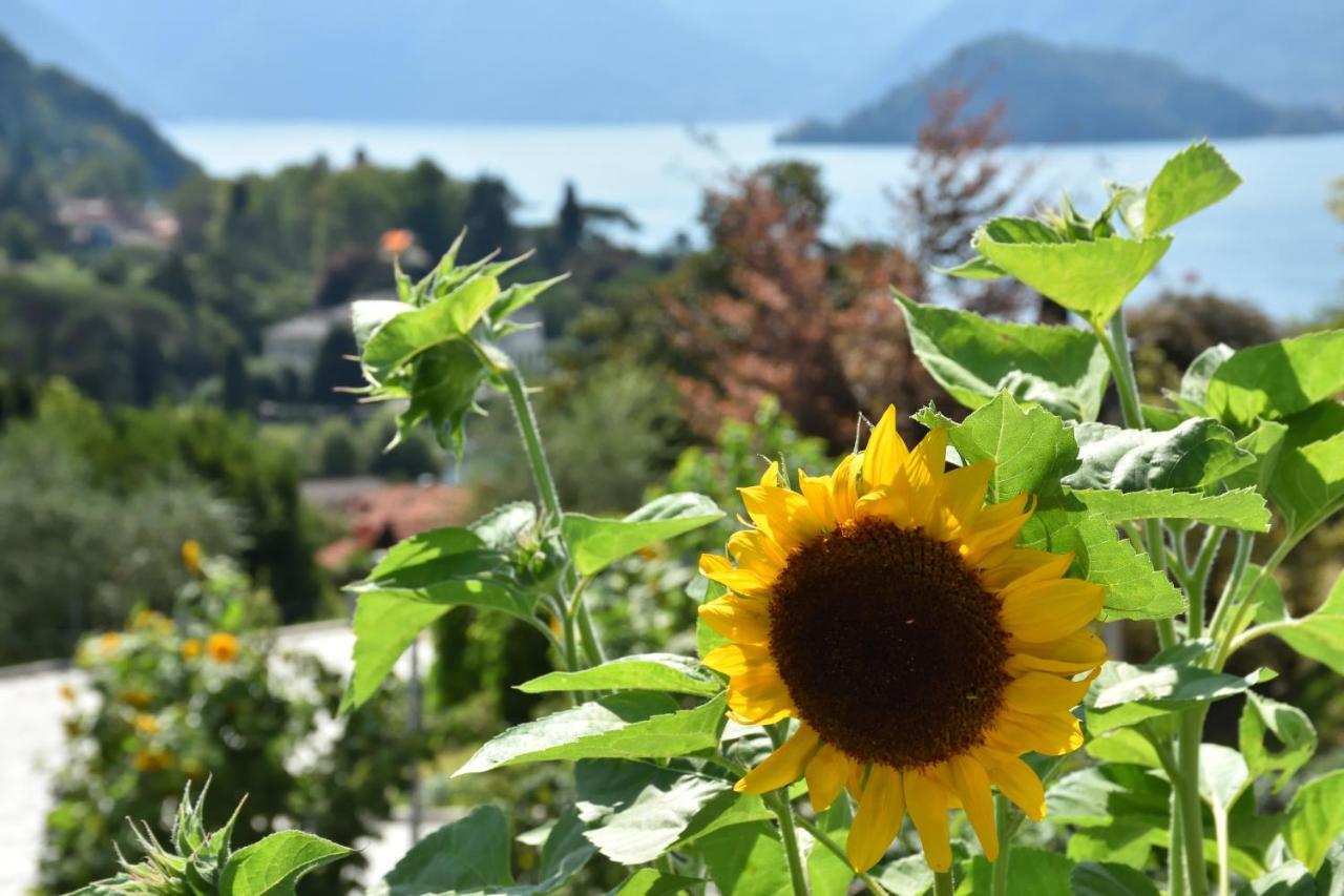 Agriturismo Il Colle Bellagio Exterior foto