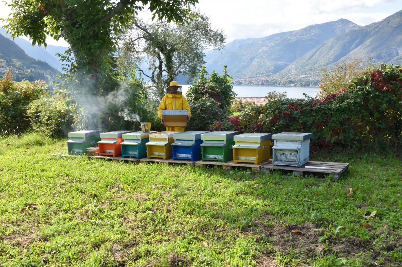 Agriturismo Il Colle Bellagio Exterior foto