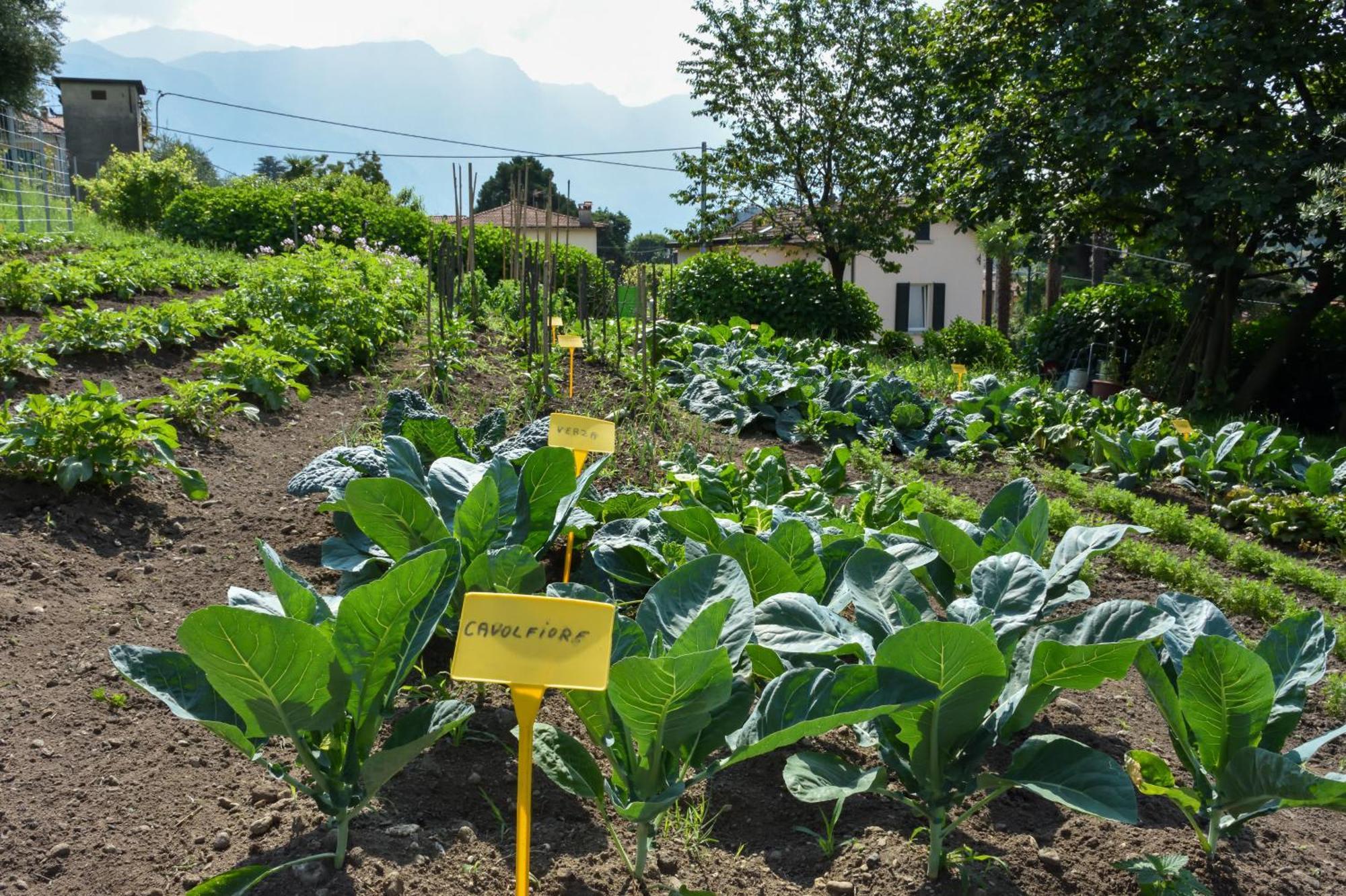 Agriturismo Il Colle Bellagio Exterior foto