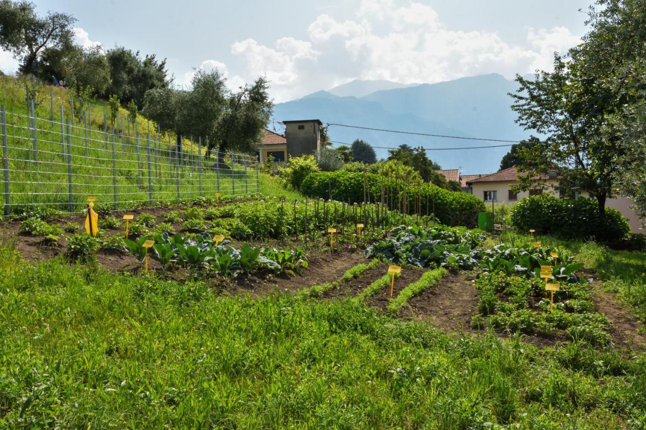 Agriturismo Il Colle Bellagio Exterior foto