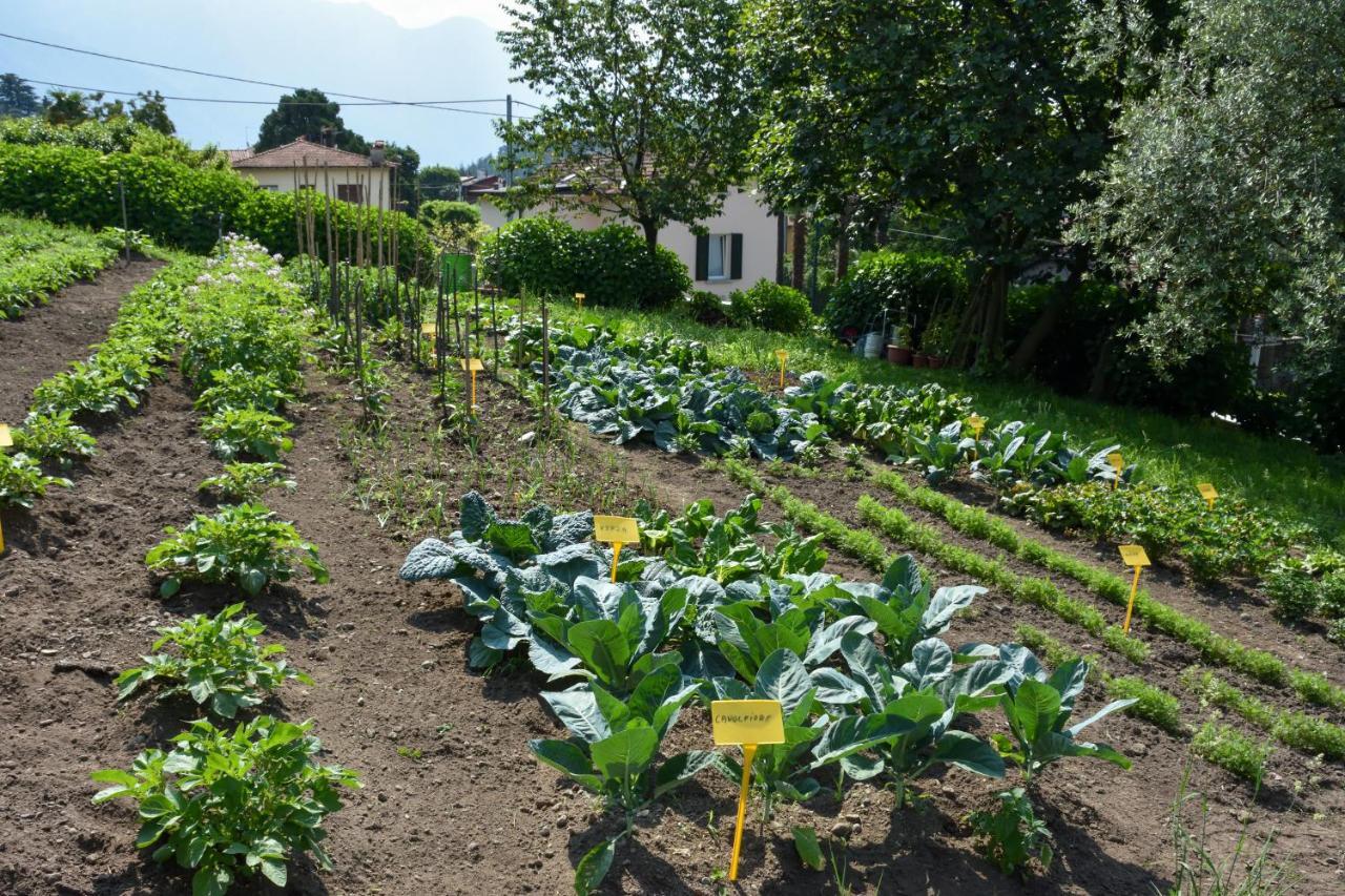 Agriturismo Il Colle Bellagio Exterior foto